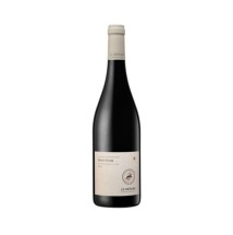 Jean Louis Denois - Pinot...